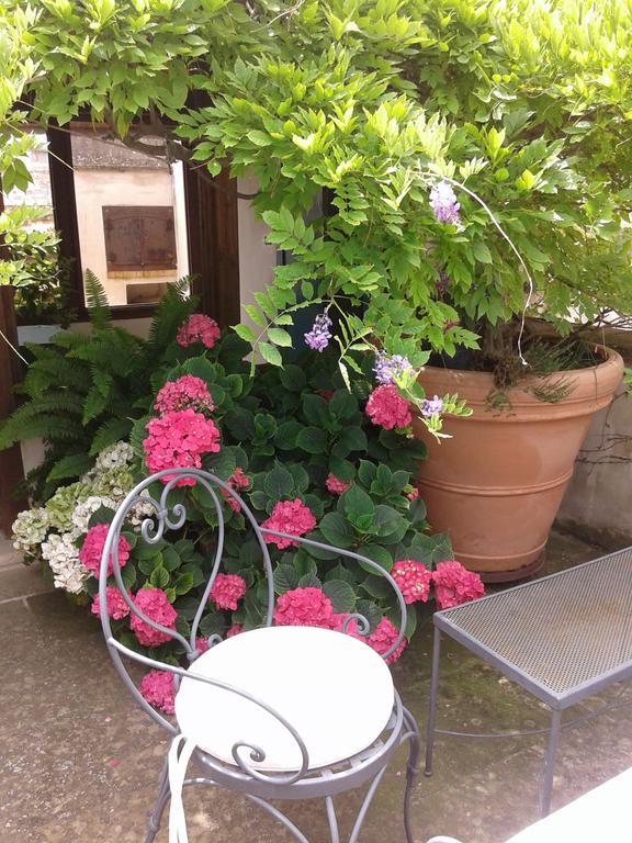 B&B Le Terrazze Бишелье Экстерьер фото